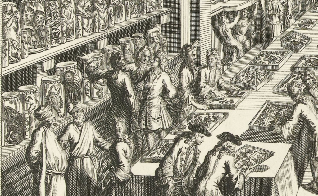 Romeyn de Hoogh and Andries van Buysen, Visitors to the Natural History cabinet of Levinus Vincent in Haarlem, c. 1706.