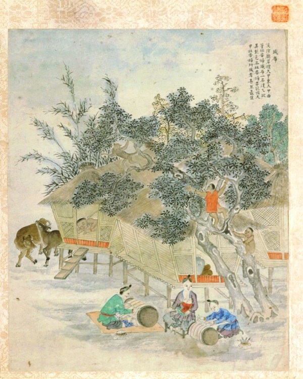 Illustrations of Taiwan 's Savage Villages (1745), “Growing Taro”