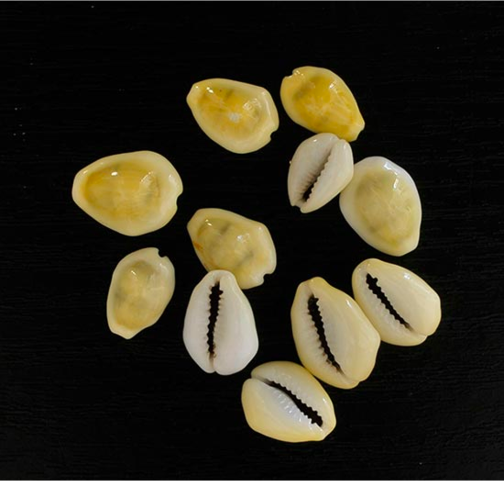 Cowries, Mehmet Emir.