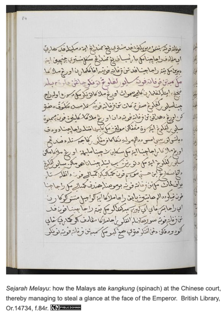 A copy of the Sejarah Melayu (Malay Annals) held by the British Library.